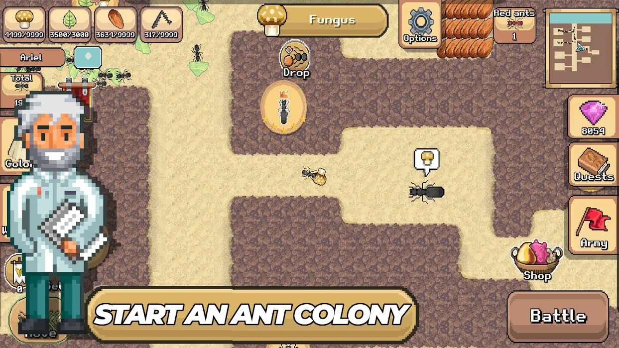 202271153737320420