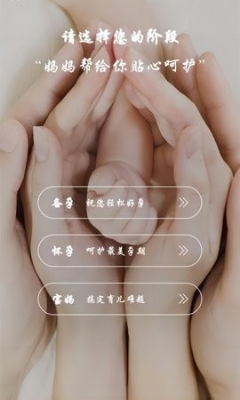 2023072806538584