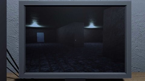 2023080394710127