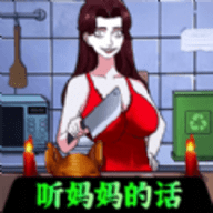 С v1.1