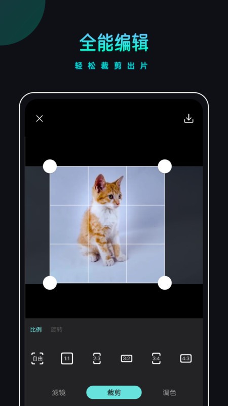2023080899793893