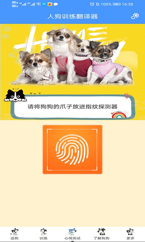 201864164721986080