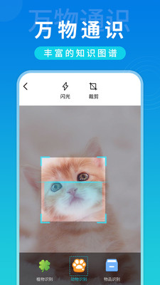 1619488701713737