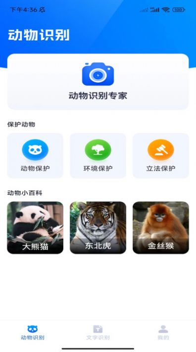 2023081609560250408