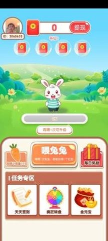 202392914427219310
