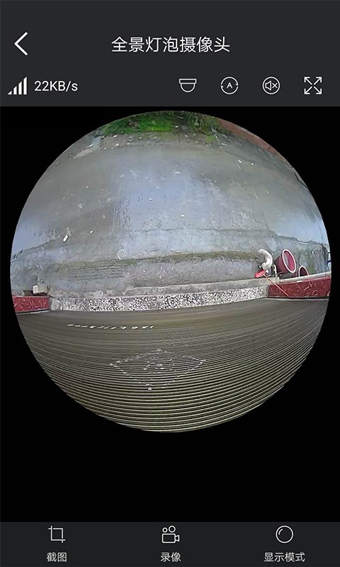 20231010043755218
