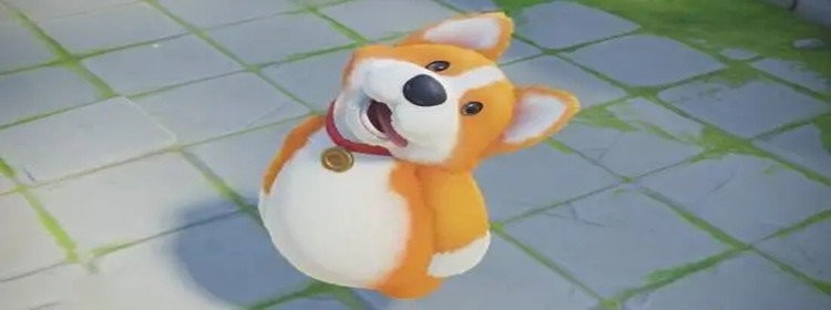 ѲǮƼϼ