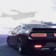 ս v1