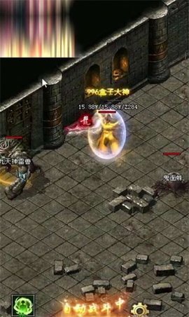></p>
<p class=
