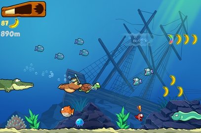 ></p>
<p class=
