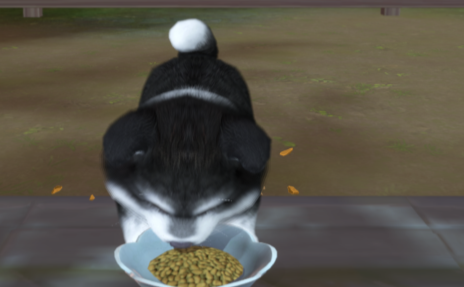 \