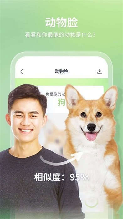 1706518355574637