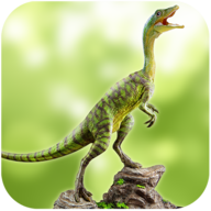 ٪޼͹ٷ v1.0.4
