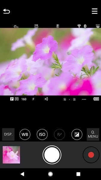97b42955f7749fea1de1ad50099431db