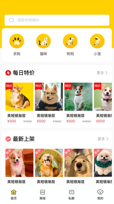 20240412FD80D967F3E347CB8D7E61CF4C0FDB1B