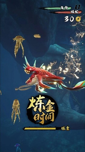 17144317qyhl