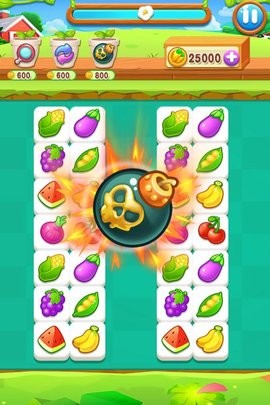 23647343 (5)