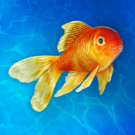 ˮģֻ