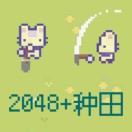 2048