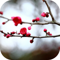 ÷ʼǹٷ v1.2.4