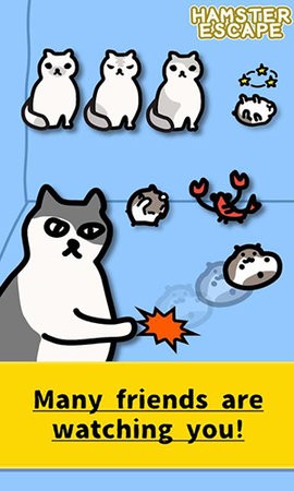 20200203124303340_270x480