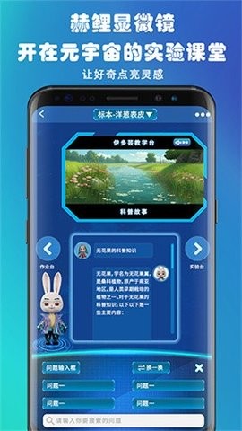 08174249mq5v