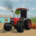 ӡȳģ3D v0.33