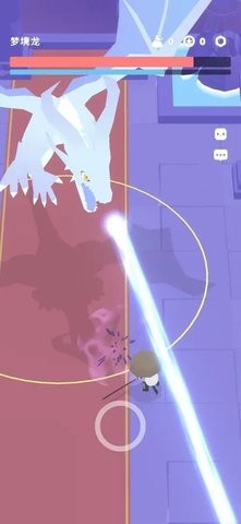 202462716567986080