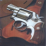 ǹ° v1.33