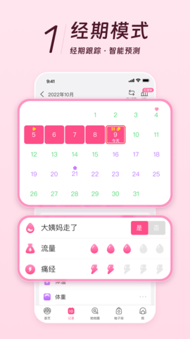 20241023111921854