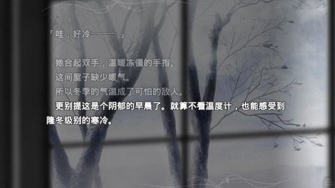 20237694814653650
