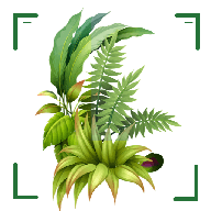 ʶɨһɨѰ v1.1