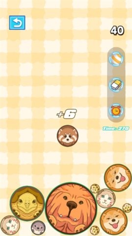 17306896284476_270x480