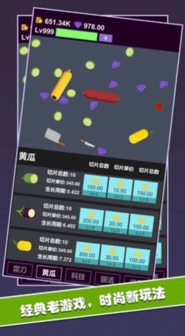 13110620dr1k
