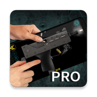 ģProֻ v2.9