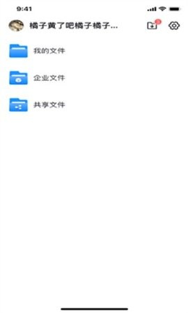 13161623dcqw