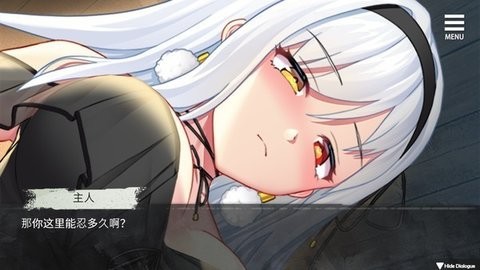 101153568cib