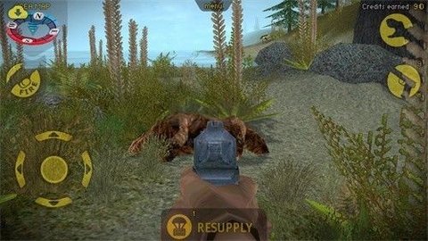 \