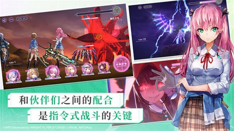 202471613573007190
