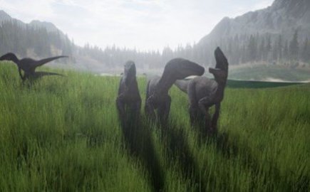 \
