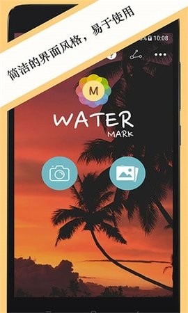 20191247meys