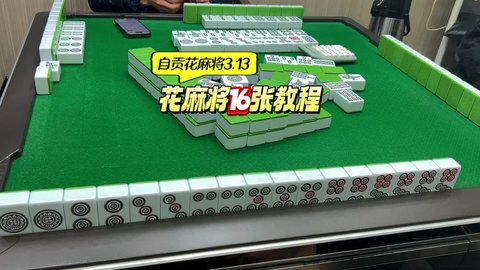 17327816578838