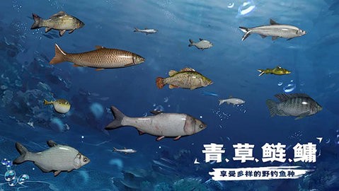 29161418e4dn_480x270