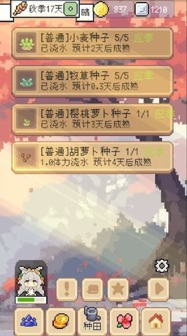 02153829hdzk_270x480