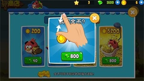 10184709apgw