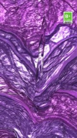 1695524309(2)