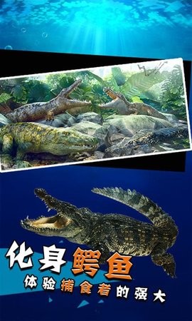 2020080810511917327