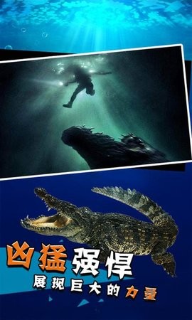 2020080810511996110
