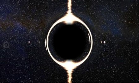 202081992451431530