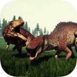 ޺ v1.0